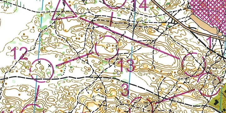 Skottdagsorientering