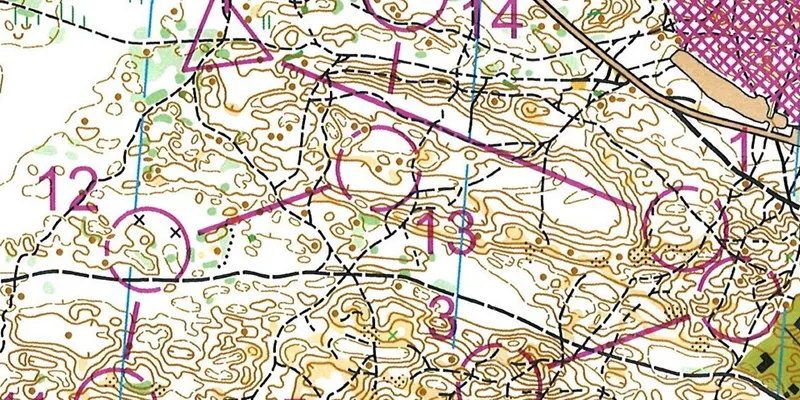 Skottdagsorientering