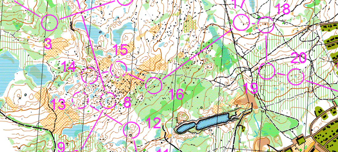 Topplopp av Oliwer i Swedish League