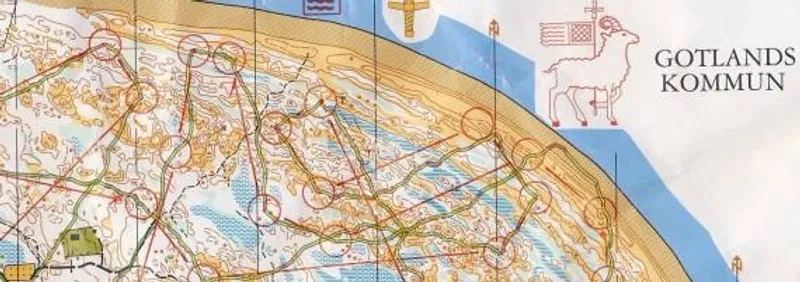 Bävrar uttagna till GM på Gotland