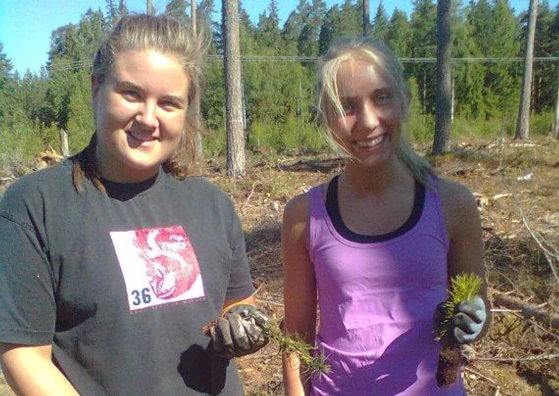 Årets skogsplantering avslutad