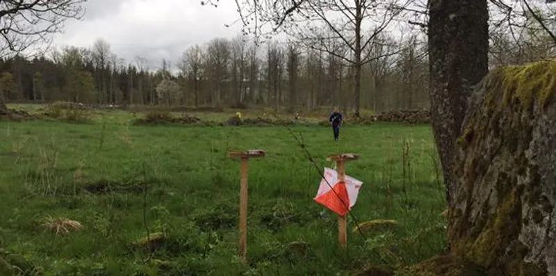 Tuffa banor på söndagens långdistans