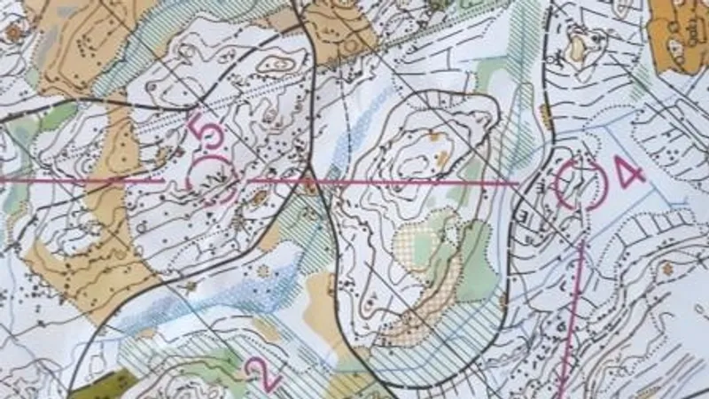 Nyårsorientering i Tormestorp