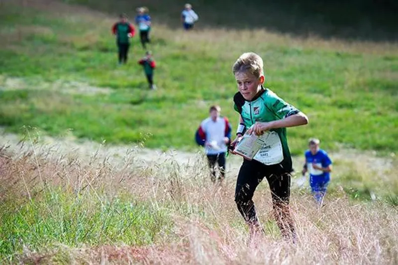 O-ringen Etapp 1: Över 50 bävrar är igång