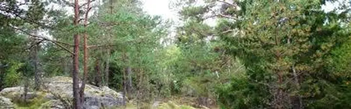 Tävlingshelg i Nyköping 27-29/3