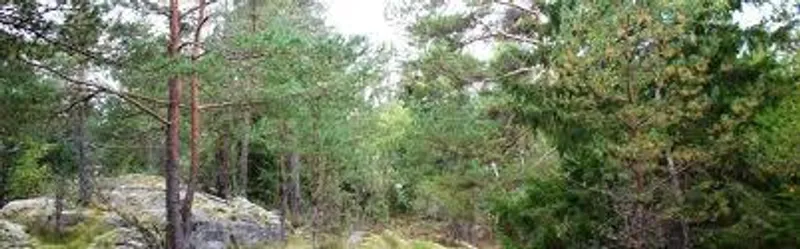 Tävlingshelg i Nyköping 27-29/3