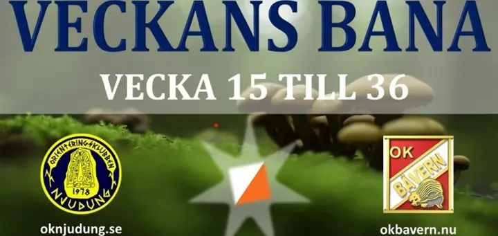 Veckans bana 2025