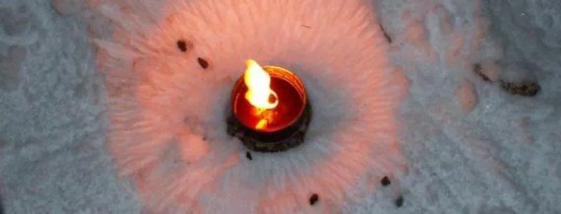 Trollsmyg vid Bävernstugan