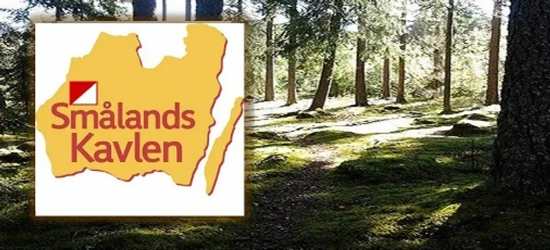 Smålandskavlen 2015