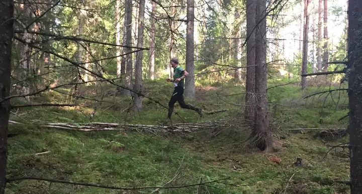 Njudungsmästerskapet 2017