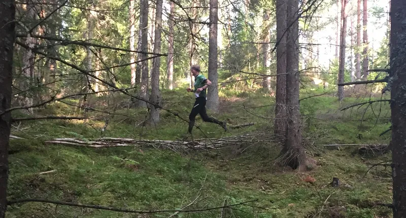 Njudungsmästerskapet 2017